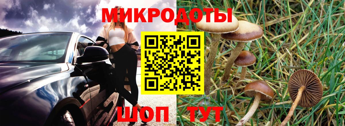 Псилоцибиновые грибы ЛСД  Вход с VPN  Псилоцибиновые грибы Cubensis  Новый Уренгой 