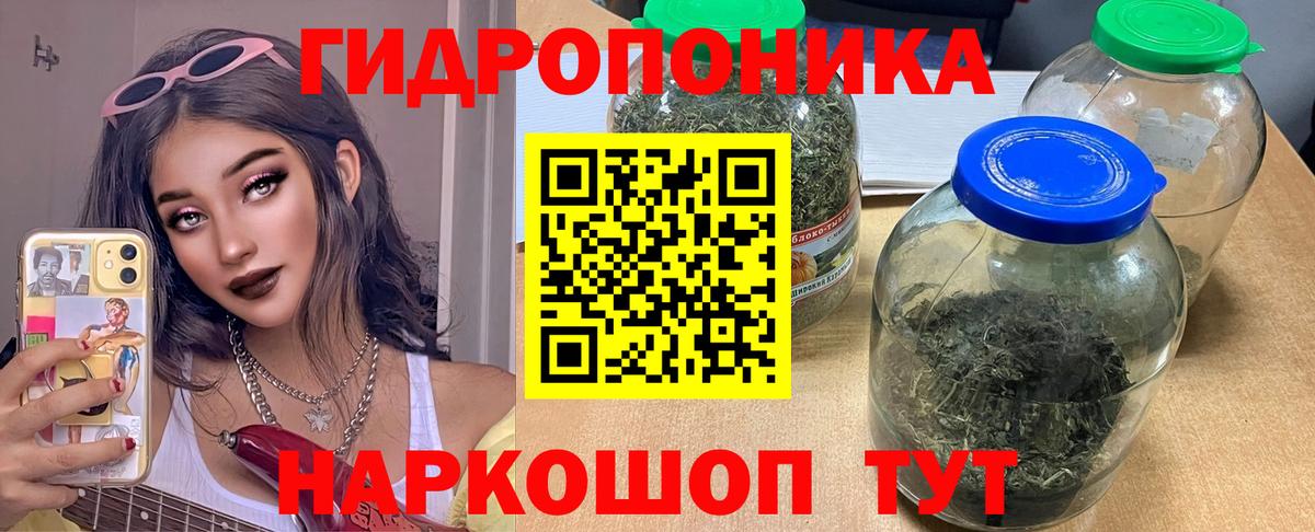 Каннабис Amnesia Новый Уренгой
